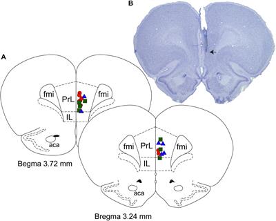 Carbachol and Nicotine in Prefrontal Cortex Have Differential Effects on Sleep-Wake States